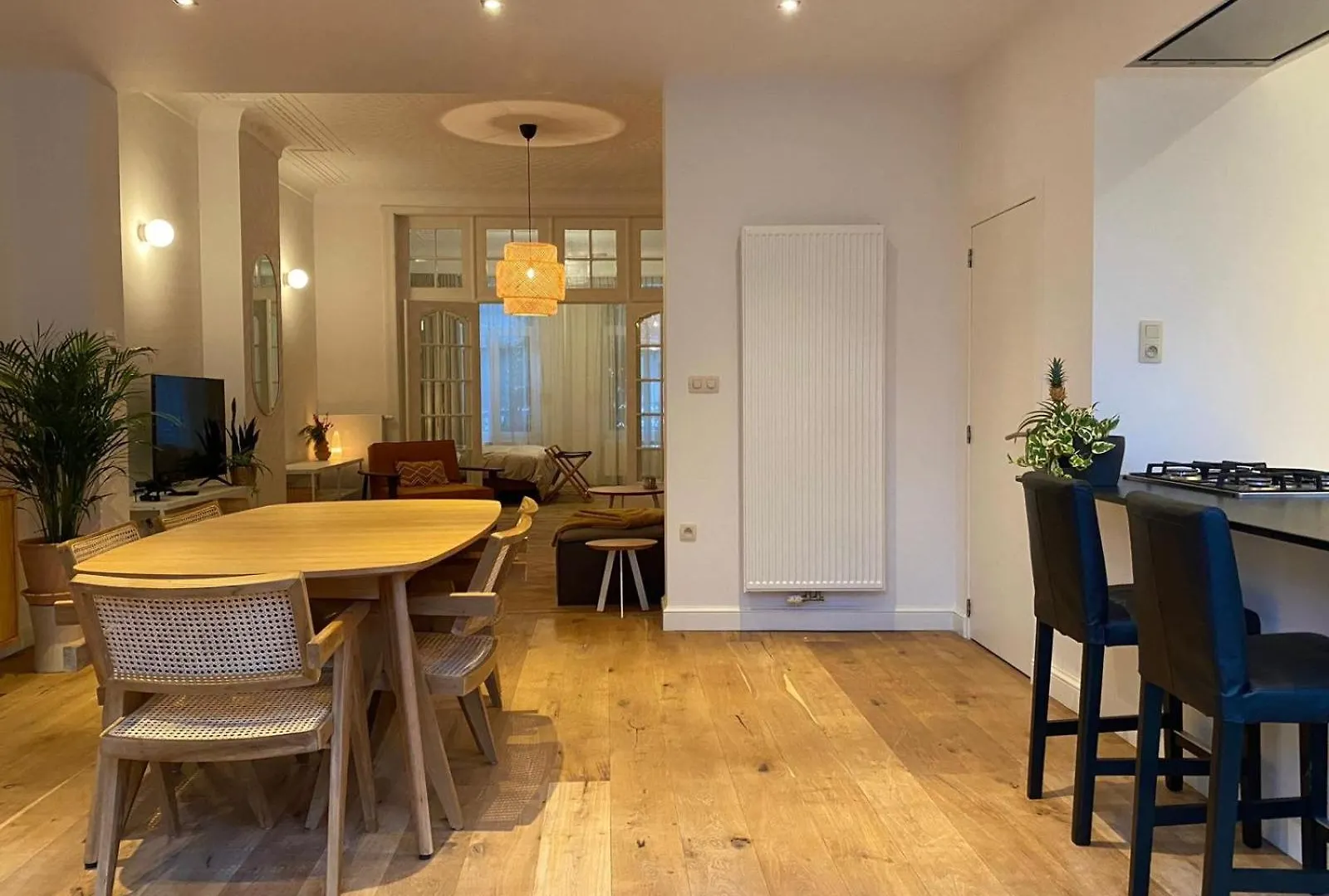 Completely Renovated Apartment Antwerp Belgium