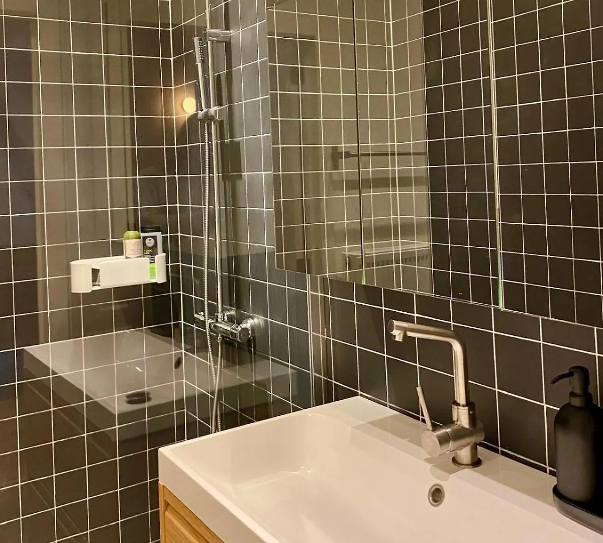 Completely Renovated Apartment Antwerp Belgium