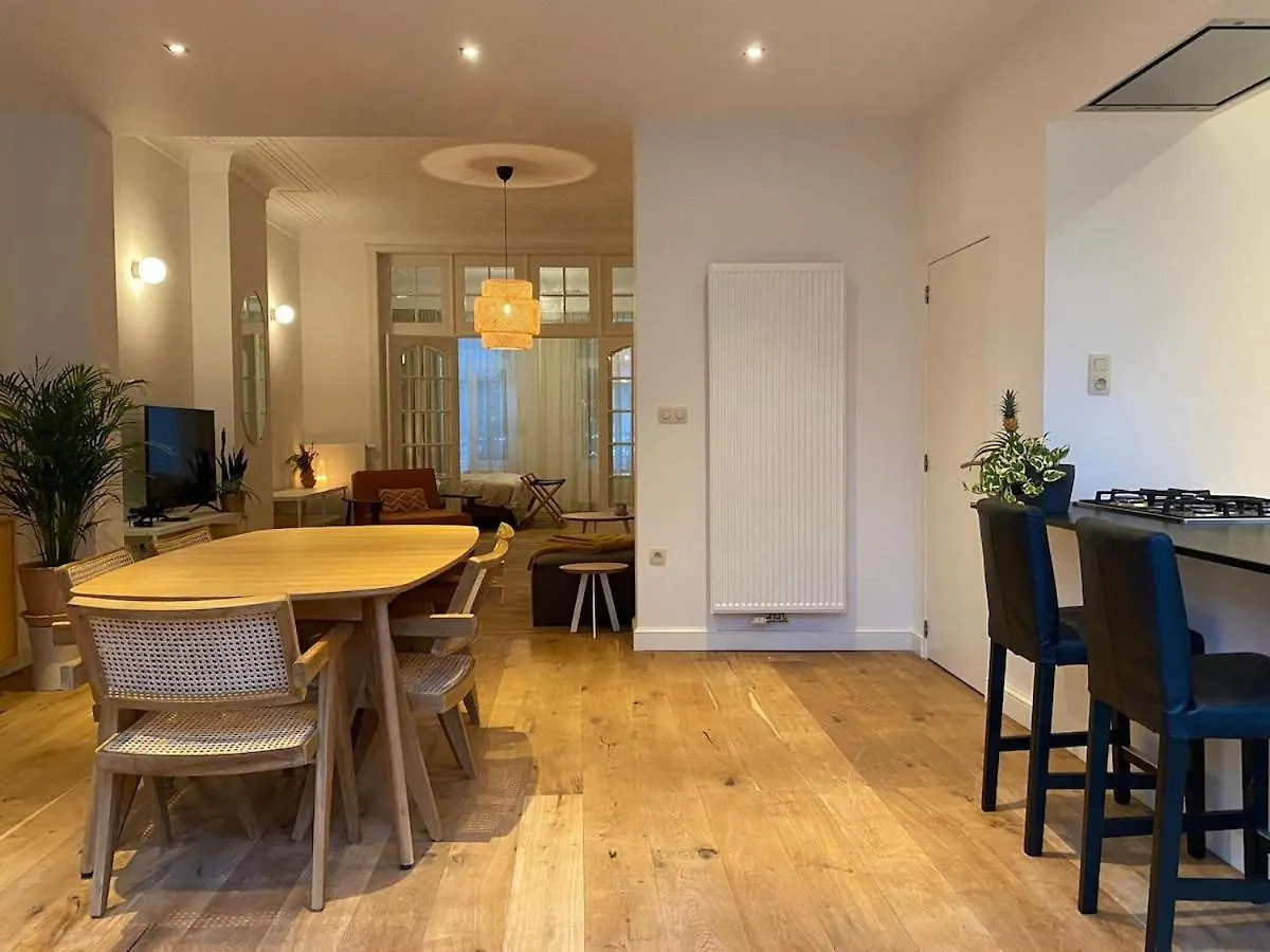 Completely Renovated Apartment Antwerp