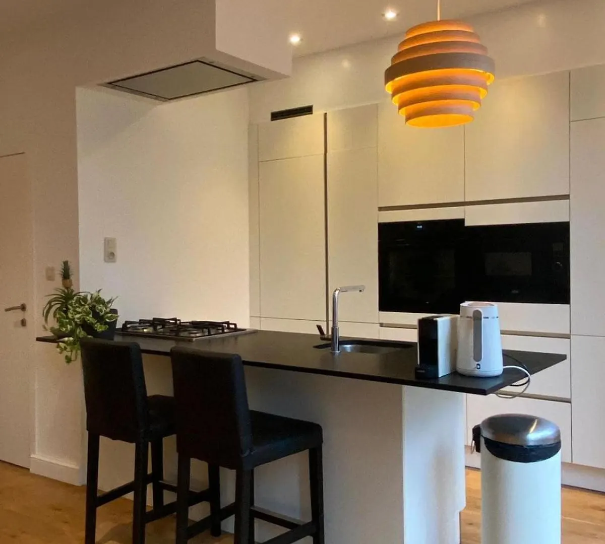 Completely Renovated Apartment Antwerp