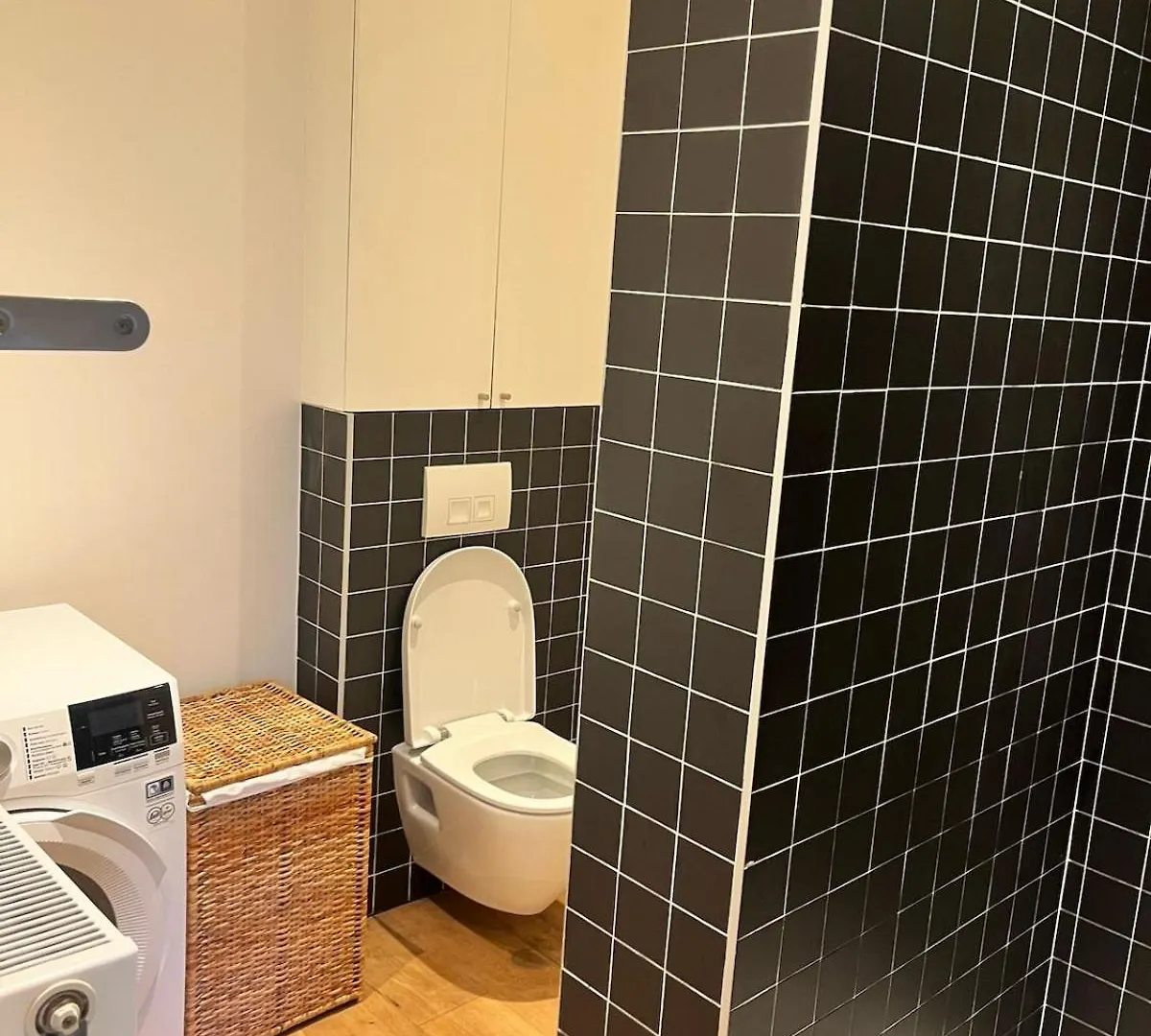 Completely Renovated Apartment Antwerp